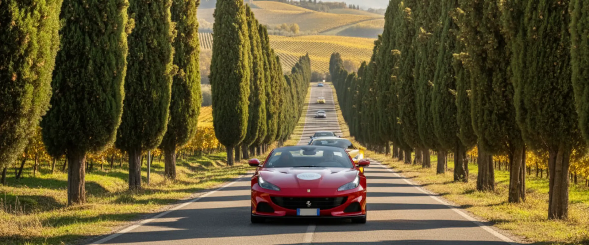 Bolgheri Ferrari Tour: A Tour of Great Wines